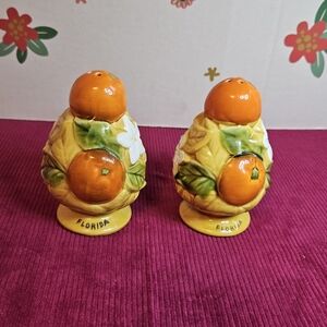 Florida Oranges and Flowers Vintage Salt and Pepper Shakers 3.5”